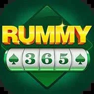 Rummy 365 APK download logo icon
